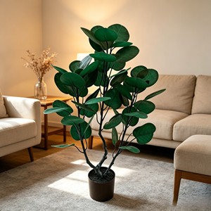 Plante d'arbre à monnaie préservée luxurante avec tronc tressé et feuilles en forme de parapluie pour la prospérité, à poser sur bureau et étagère - Product Image 5