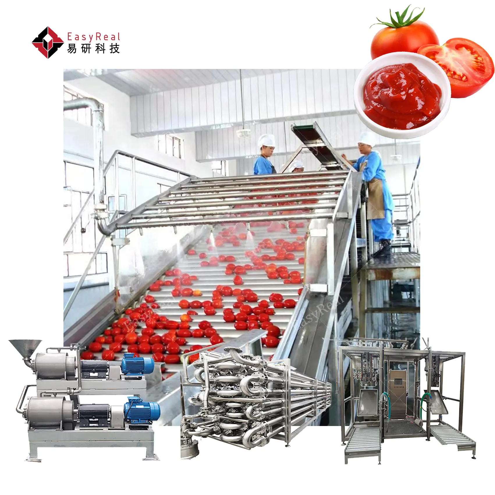 Kunden spezifische voll automatische Tomatenmark Paste Sauce Konzentrat Verarbeitung Produce Line Tomatenmark Paste Herstellung Produktions linie