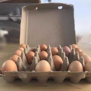Bột Giấy sợi trứng phẳng thùng carton giữ 6,12,15,30 trứng-trứng thùng cho trang trại gà, logo in ấn có sẵn - Product Image 1