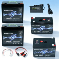 Pack de batteries LiFePO4 12V avec BMS intégré et chargeur de batterie LiFePO4, batterie LiFePO4 600Ah pour système solaire marin, camping et camping-car