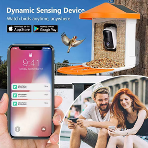 Mangeoire <span class=keywords><strong>pour</strong></span> <span class=keywords><strong>oiseaux</strong></span> - Product Image 2