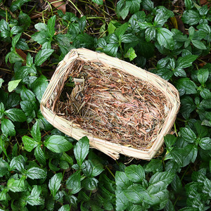 Casa Redonda de Paja Tejida para Mascotas, Nido de Hámster de Hierba, Estilo Rústico para las Cuatro Estaciones - Product Image 3