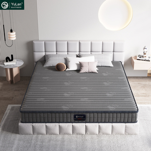Matelas anti-décubitus d'hôpital Matelas simple de taille double Matelas médical Matelas orthopédique - Product Image 1