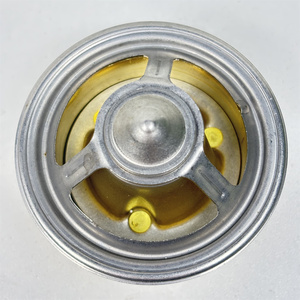 Termostato DZ120917 para Motor 4045 6068 6081 6090 - Product Image 3