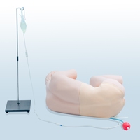 Simulateur médical en PVC pour la simulation de ponction lombaire, modèle standardisé pour la science médicale, l'enseignement et la formation.