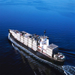 شحن بحري من الصين إلى الولايات المتحدة وكندا والمملكة المتحدة وأوروبا 20 قدم و40 قدم و45 قدم - Product Image 3