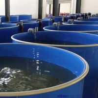 Équipement d'élevage de poissons RAS de 100 tonnes de capacité en eau, prix, coût d'élevage de poissons en intérieur RAS de 5 tonnes, poisson-chat RAS