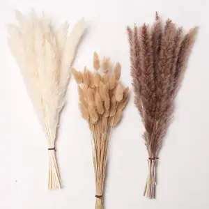 Hot Sale Boho Wedding Decor 45 Cm Mix Color Dry Fluffy Pampas Grass Bunny Tail Bouquet Set Small Dried Pampas Grass