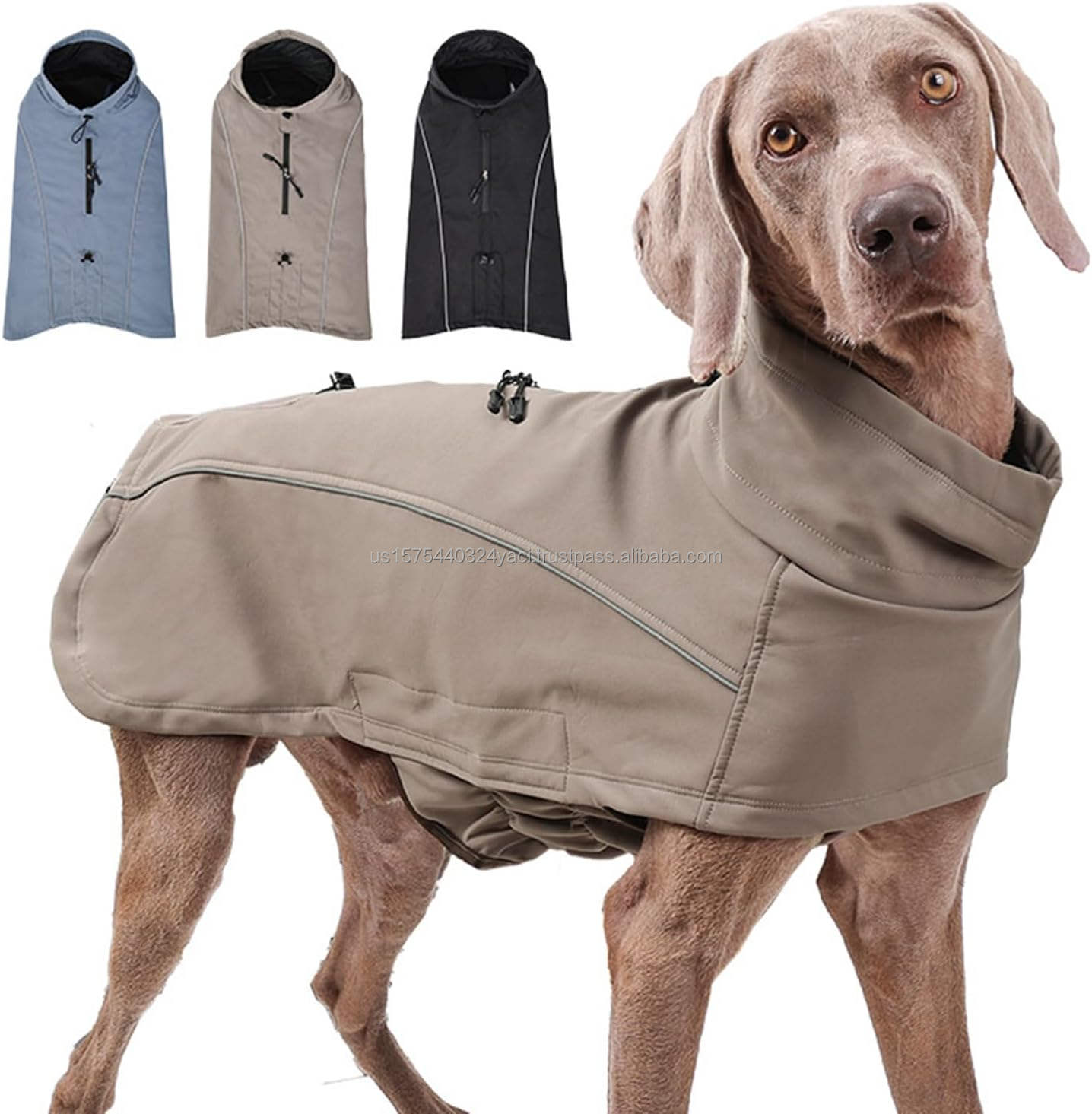 สีน้ำตาล