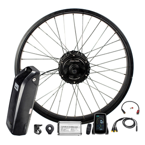 20 Inch Fat Tire Ebike <strong>Conversion</strong> <strong>Kit</strong> <strong>E</strong> Bike <strong>Conversion</strong> <strong>Kit</strong> Electric Bicycle Motor - Product Image 1
