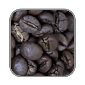 烤阿拉比卡卡蒂莫尔价格优惠烤咖啡豆便宜原始设备制造商生产的绿色咖啡