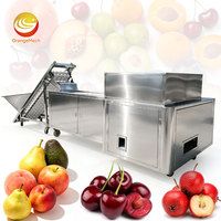 ORME Fruitpitverwijderingsmachine Perzikpit Kersenontpitter Jujube Abrikoos Pruimenpitverwijderaar Machine
