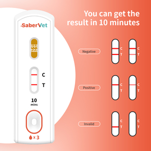 Kits de <span class=keywords><strong>test</strong></span> de diagnostic vétérinaire ITGen, fournitures, <span class=keywords><strong>test</strong></span> <span class=keywords><strong>H</strong></span>. <span class=keywords><strong>Pylori</strong></span>, <span class=keywords><strong>test</strong></span> HP, <span class=keywords><strong>test</strong></span> rapide d'antigène <span class=keywords><strong>H</strong></span>.<span class=keywords><strong>pylori</strong></span>, kit de <span class=keywords><strong>test</strong></span> - Product Image 5