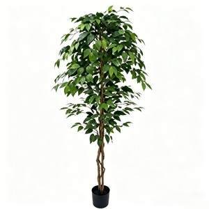 Directly Shipped Factory <b>Plastic</b> Banyan <b>Tree</b> Poles-Evergreen Decor for Valentine's Day & Mother's Day - Product Image 1