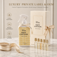 Fabricant de parfums d'intérieur WELLNESS, vaporisateur d'ambiance et brume parfumée naturelle personnalisée, vaporisateur d'ambiance de luxe à étiquette privée