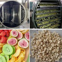 GZS 50 Kokosnoot Aardappel Mango Droogmachine Industriële Vriesdroogmachine Met 226 Kg/uur Max. Wateropvangcapaciteit