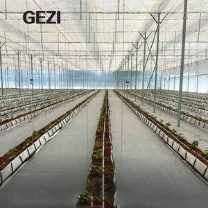 野菜フルーツブドウ園農業農業温室用超ファインスリップWhiteflyネットネット防虫網メーカー中国 - Product Image 6