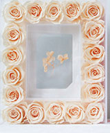 Champagne - 5 inch acrylic photo frame (excluding photos)
