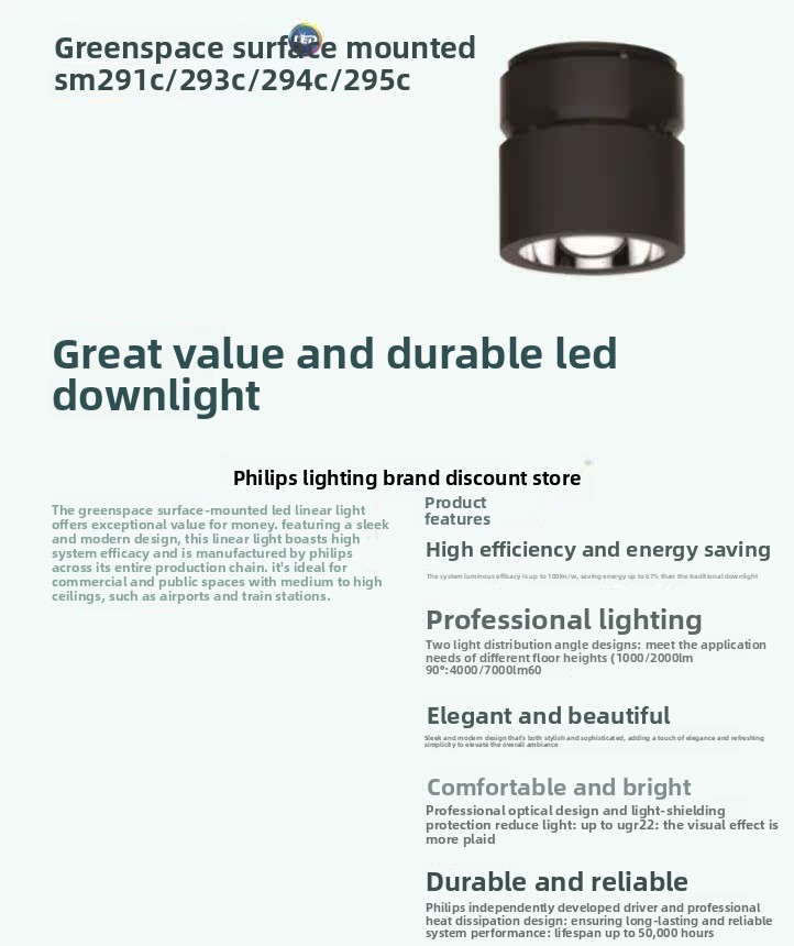 SM291C LED10