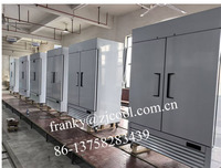 Congélateur commercial à deux grandes portes pleines, réfrigérateur vertical professionnel, congélateur à double porte pleine avec compartiment inférieur (DOE)