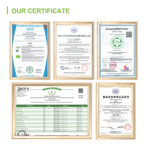 ผงเข้มข้นแบล็คเคอร์แรนท์ออร์แกนิค 100% ละลายน้ำได้ ผงผลแบล็คเคอร์แรนท์ ผงน้ำแบล็คเคอร์แรนท์ 99% - Product Image 3