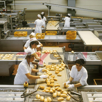 Knapperige Gepofte Chips Machine Bananenchips Maken Machine Bevroren Frietproductielijn