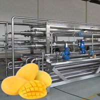 10 T/h Mango Pulp Productielijn Mango Pulp Verwerkingsmachine Mango Puree Sap Productielijn