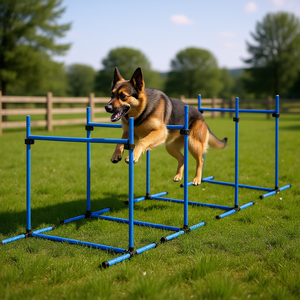 Kit de démarrage avec barre de saut réglable pour l'entraînement d'agilité des chiens, fournitures d'entraînement pour animaux de compagnie, bleu - Product Image 2
