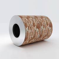 Bobine d'acier prélaqué PPGI de couleur unie, épaisseur personnalisable de 0,2 mm à 3 mm, bobine d'acier galvanisé de première qualité