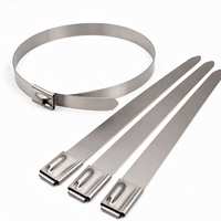 Attache-câble en acier inoxydable RUNBO 4,6x850mm, haute résistance à la traction, anti-corrosion, pour câbles de tours de télécommunications et regroupement de tuyaux extra larges