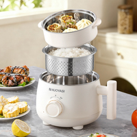 Cuisinière électrique portable avec cuve et panier en acier inoxydable 304 pour cuisson vapeur, idéale pour l'extérieur, la maison et l'hôtellerie