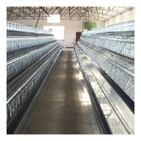 Nouveau système de cages en batterie automatiques pour poules pondeuses, galvanisées à chaud, de type A, pour élevages avicoles, avec une durée de vie de 15 à 20 ans