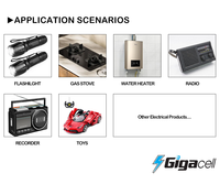 Batería Seca Gigacell D 1.5V Super Alcalina LR20 para Electrodomésticos