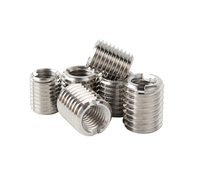 Made China Customized Stainless Steel Hole Slotted M4 M6 Self Tapping Screw Thread Insert Fastener ISO9001 Certified General
