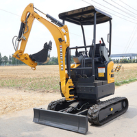 Mini-excavatrice Derette RT20, excavatrice compacte de 2 tonnes pour petits travaux, utilisation en location avec moteur diesel Kubota