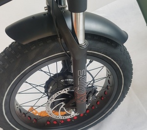 Bicicleta eléctrica de tres ruedas de carga de 20 pulgadas, triciclo eléctrico de tracción delantera, neumático grueso, 3 ruedas, bicicleta de montaña eléctrica de 750W - Product Image 2