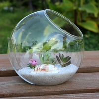 Jardinière murale, terrariums en verre transparent suspendus pour plantes aériennes, succulentes et bougies, terrarium suspendu