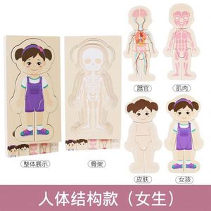 Rompecabezas Montessori de Madera para Aprender sobre las Partes del Cuerpo Humano, Anatomía, Esqueleto, Mi Cuerpo, para Niños Pequeños, Niños y Niñas - Product Image 6