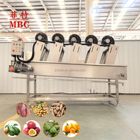 Commerciële luchtblaasdroger/was- en drooglijn voor fruit en groenten voor de verwerking van aardappel, wortel, mango, komkommer, kool