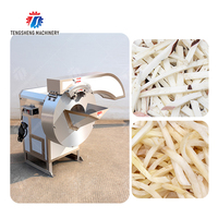 Équipement pour Frites et Chips de Pommes de Terre à Vendre Machine de Découpe TS Q128