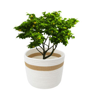 Panier <span class=keywords><strong>de</strong></span> plantes <span class=keywords><strong>en</strong></span> <span class=keywords><strong>corde</strong></span> <span class=keywords><strong>de</strong></span> coton tissé avec poignées - Product Image 5