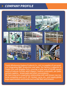 Toptan Tek Kullanımlık Dokunmamış Kumaştan Regl Külodu Hijyenik Pedli Külot Ücretsiz Numune Ucuz Adet Külodu - Product Image 6
