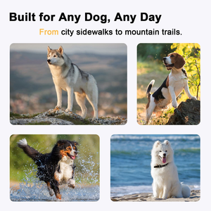 Custom LED <b>Dog</b> Harness OEM/ODM Breathable Mesh Polyester/Nylon Eco-Friendly No Pull Reflective <b>Padding</b> Your Logo Accepted - Product Image 4