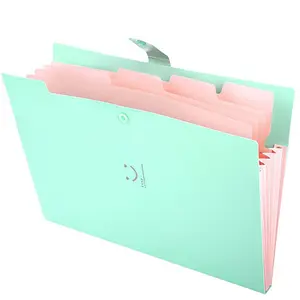 Hot Sale Candy Color A4 Size PP Plastic Expanding Hard Cover Button Document Bag Executive File Folder For Office