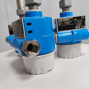 Débitmètre magnétique personnalisable Endress+Hauser DTI200, type à insertion, économique, OEM, pour eau - Product Image 3