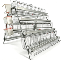 Système de cages automatiques de type A pour poulets pondeurs, équipement d'élevage avicole galvanisé pour 5000 oiseaux