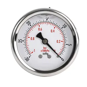 HUBEN SS 30 PSI Pressure Gauge With Center Back Mount