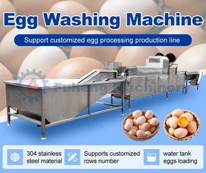 Máquina Automática de Limpieza y Clasificación de Huevos de Gallina, Tipo Cepillo, para Uso en Granjas, a <span class=keywords><strong>Precio</strong></span> Accesible - Product Image 5