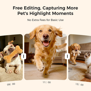กล้องสัตว์เลี้ยง HD 1080P พร้อมเครื่องจ่ายขนมอัจฉริยะ หมุนได้ 360 องศา ระบบ AI ตรวจจับ สำหรับสุนัขและแมวในบ้าน - Product Image 5