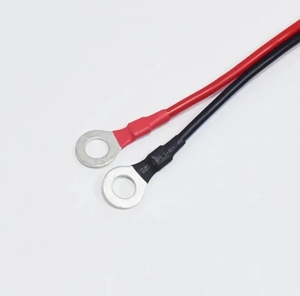 Nuovo accendisigari 16AWG maschio a 8.4mm O-Ring terminale E-legno per auto caricabatterie 12V 15A fusibile per auto cavo di alimentazione per ponticello Inverter - Product Image 5